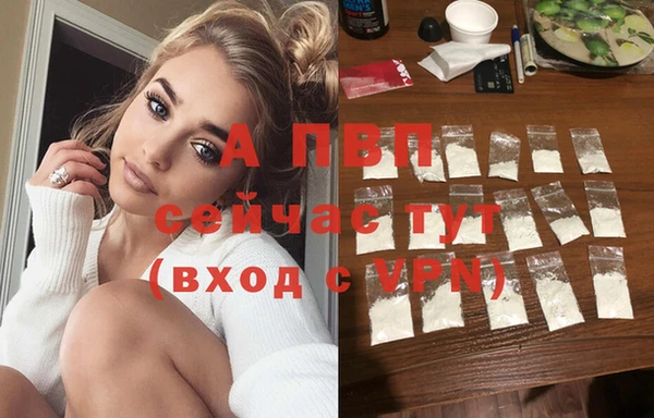 крисы Белокуриха